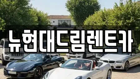 경기 부천시 오정구 작동 장기렌트카 전문 뉴현대드림렌트카