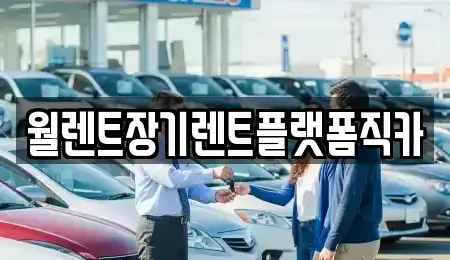경기 부천시 오정구 작동 장기렌트카 전문 월렌트장기렌트플랫폼직카