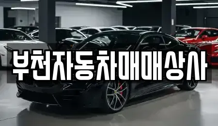 경기 부천시 오정구 작동 중고차 전문 부천자동차매매상사