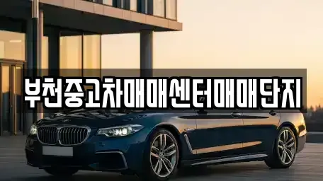경기 부천시 오정구 작동 중고차 전문 부천중고차매매센터매매단지
