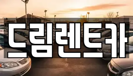 경기 수원시 장안구 정자동 렌트카 전문 드림렌트카