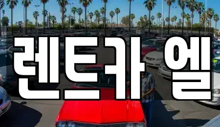 경기 수원시 장안구 정자동 렌트카 전문 렌트카 엘