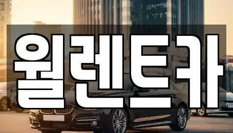 경기 수원시 장안구 정자동 렌트카 전문 월렌트카