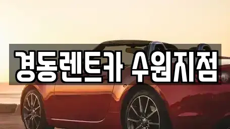 경기 수원시 장안구 정자동 장기렌트카 전문 경동렌트카 수원지점