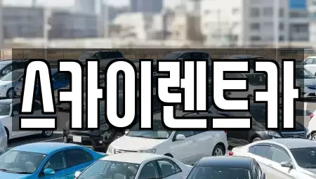 경기 수원시 장안구 정자동 장기렌트카 전문 스카이렌트카