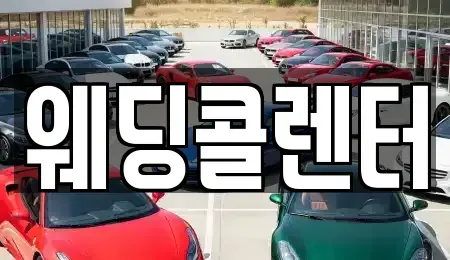 경기 수원시 장안구 정자동 장기렌트카 전문 웨딩콜렌터