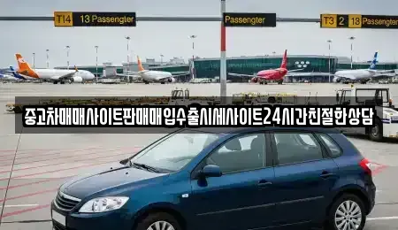경기 수원시 장안구 정자동 중고차 전문 중고차매매사이트판매매입수출시세사이트24시간친절한상담