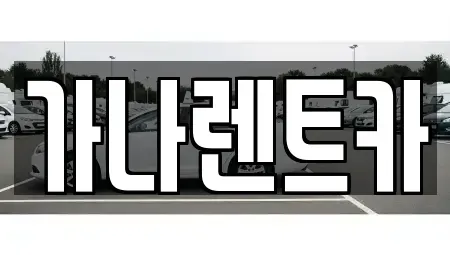 경기 안성시 도기동 렌트카 전문 가나렌트카
