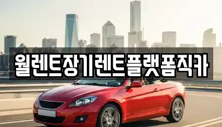경기 안성시 도기동 장기렌트카 전문 월렌트장기렌트플랫폼직카