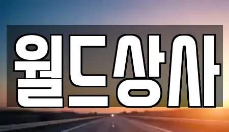 경기 안성시 도기동 중고차매매 전문 월드상사