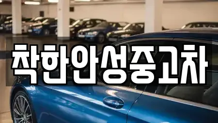 경기 안성시 도기동 중고차매매 전문 착한안성중고차