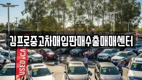 경기 안성시 도기동 중고차매입 전문 김프로중고차매입판매수출매매센터