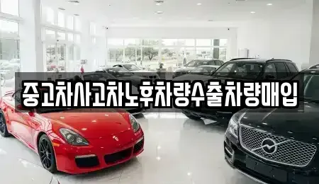 경기 양주시 만송동 중고차 전문 중고차사고차노후차량수출차량매입