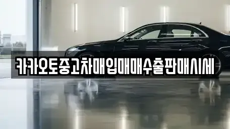 경기 양주시 만송동 중고차 전문 카카오토중고차매입매매수출판매시세