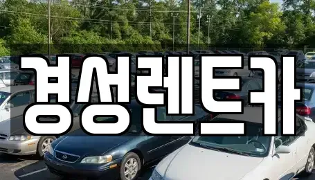 경기 양주시 회정동 렌트카 전문 경성렌트카
