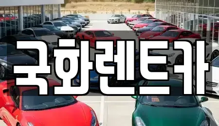 경기 양주시 회정동 렌트카 전문 국화렌트카