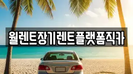 경기 양주시 회정동 렌트카 전문 월렌트장기렌트플랫폼직카