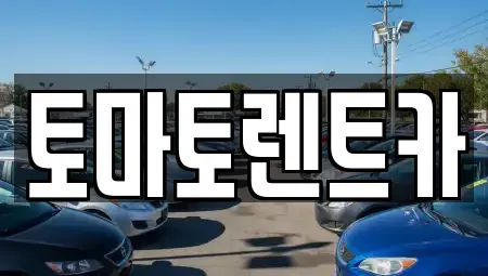 경기 양주시 회정동 렌트카 전문 토마토렌트카