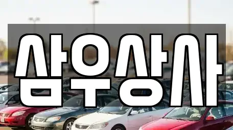 경기 양주시 회정동 중고차매매 전문 삼우상사