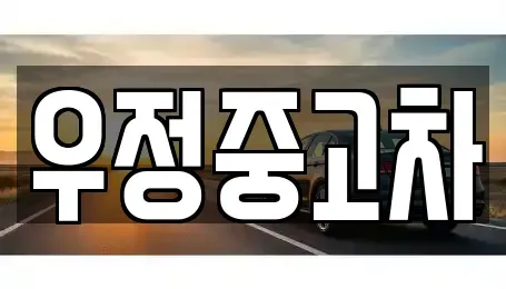 경기 양주시 회정동 중고차매매 전문 우정중고차