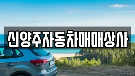 경기 양주시 회정동 중고차매입 전문 신양주자동차매매상사