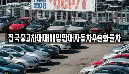 경기 양주시 회정동 중고차매입 전문 전국중고차매매매입판매자동차수출화물차