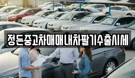 경기 여주시 강천면 중고차 전문 정든중고차매매내차팔기수출시세