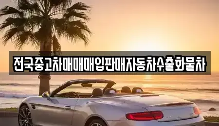 경기 여주시 금사면 렌트카,단기렌트카,장기렌트카,중고차,중고차매매,중고차매입