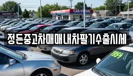 경기 여주시 금사면 중고차 전문 정든중고차매매내차팔기수출시세