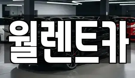 경기 오산시 청호동 렌트카 전문 월렌트카