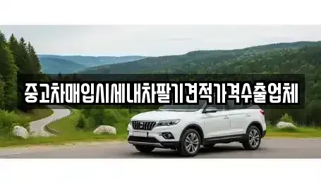 경기 오산시 청호동 중고차매입 전문 중고차매입시세내차팔기견적가격수출업체