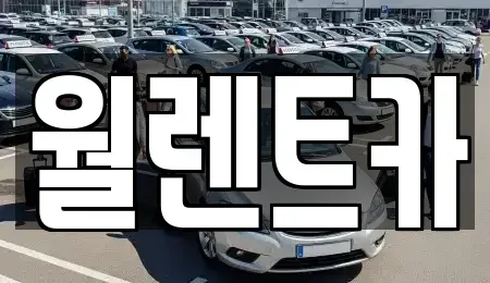 경기 의정부시 자일동 렌트카 전문 월렌트카