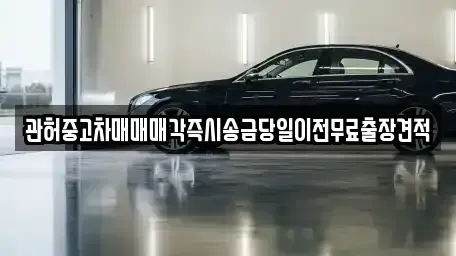 경기 의정부시 자일동 중고차 전문 관허중고차매매매각즉시송금당일이전무료출장견적