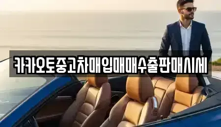 경기 의정부시 자일동 중고차매입 전문 카카오토중고차매입매매수출판매시세