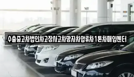 경기 파주시 법원읍 중고차매입 전문 수출중고차법인차고장사고차망자차압류차1톤차매입센터