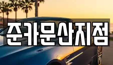 경기 파주시 파주읍 렌트카 전문 준카문산지점