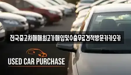경기 파주시 파주읍 중고차 전문 전국중고차매매최고가매입및수출무료견적방문카카오카