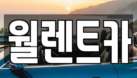 경기 평택시 청북읍 렌트카 전문 월렌트카
