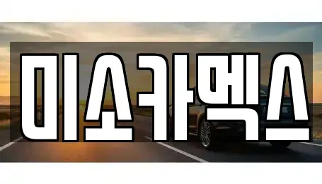 경기 평택시 청북읍 중고차 전문 미소카멕스