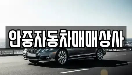 경기 평택시 청북읍 중고차 전문 안중자동차매매상사