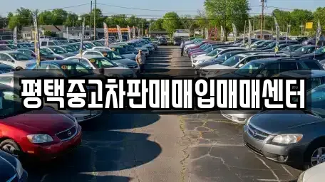 경기 평택시 청북읍 중고차 전문 평택중고차판매매입매매센터