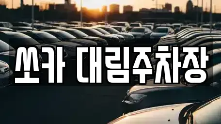 경기 포천시 군내면 렌트카 전문 쏘카 대림주차장
