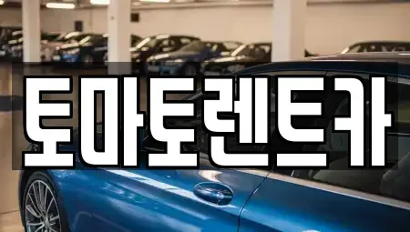 경기 포천시 군내면 렌트카 전문 토마토렌트카