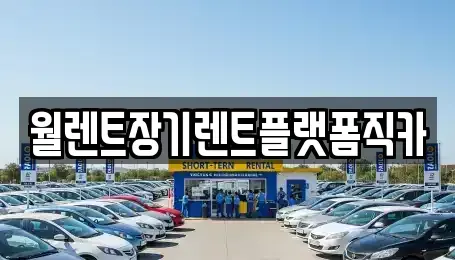 경기 포천시 군내면 장기렌트카 전문 월렌트장기렌트플랫폼직카