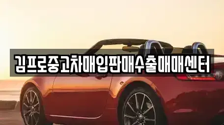 경기 포천시 군내면 중고차매입 전문 김프로중고차매입판매수출매매센터