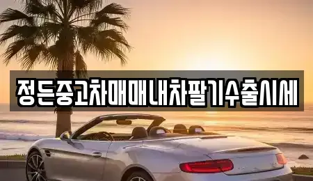 경기 포천시 영중면 중고차 전문 정든중고차매매내차팔기수출시세