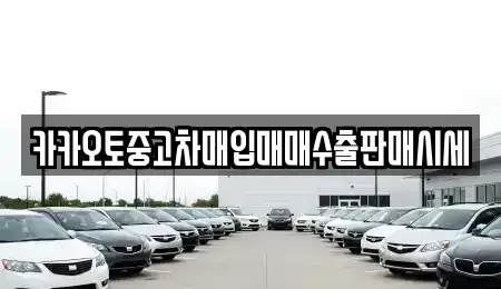 경기 포천시 영중면 중고차 전문 카카오토중고차매입매매수출판매시세