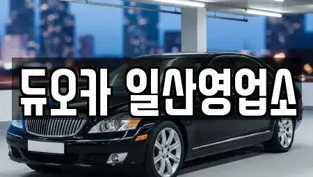 경기도 고양시 덕양구 대장동 단기렌트카 전문 듀오카 일산영업소