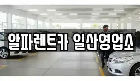 경기도 고양시 덕양구 대장동 렌트카 전문 알파렌트카 일산영업소
