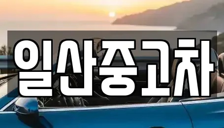 경기도 고양시 덕양구 대장동 중고차매매 전문 일산중고차